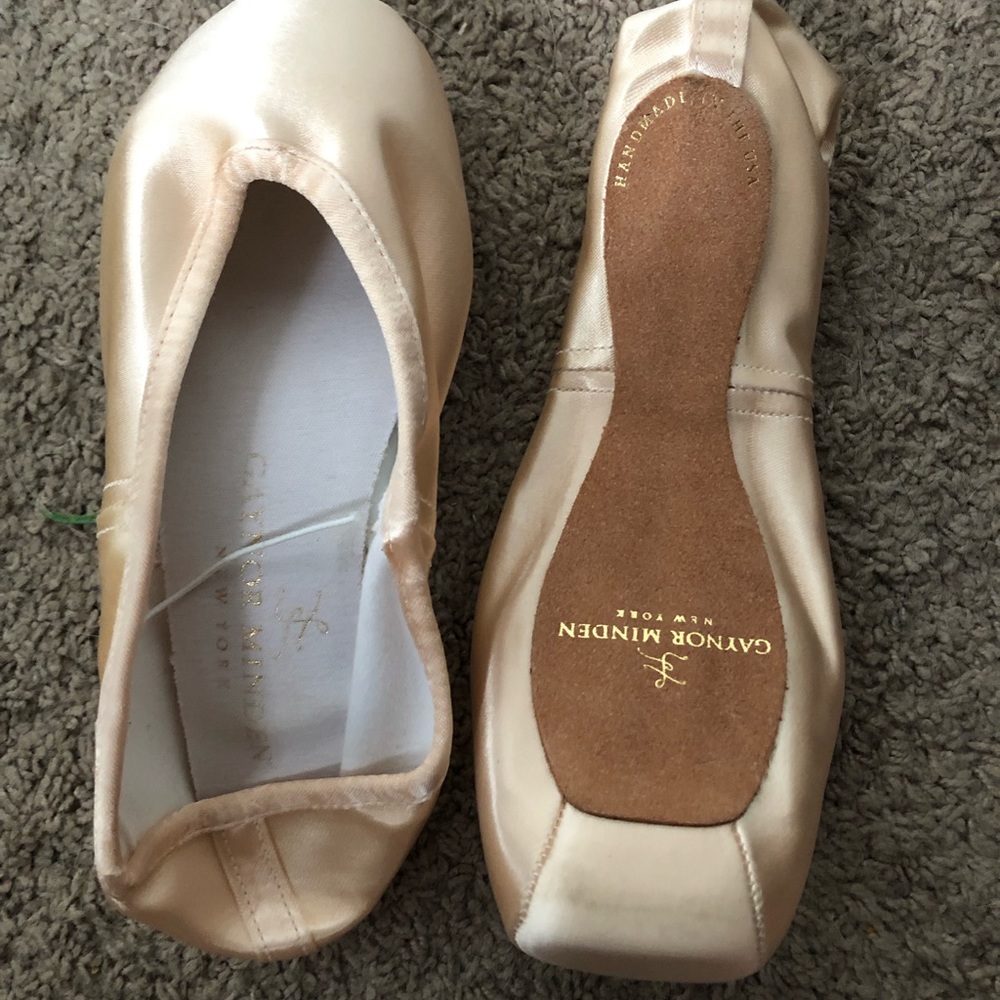 Gaynor Minden Pointe Shoes